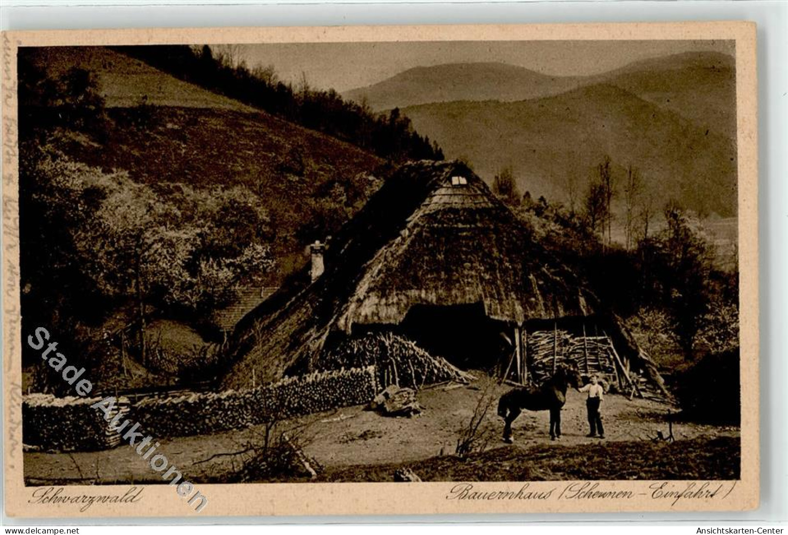 52255279 - Gutach Schwarzwaldbahn