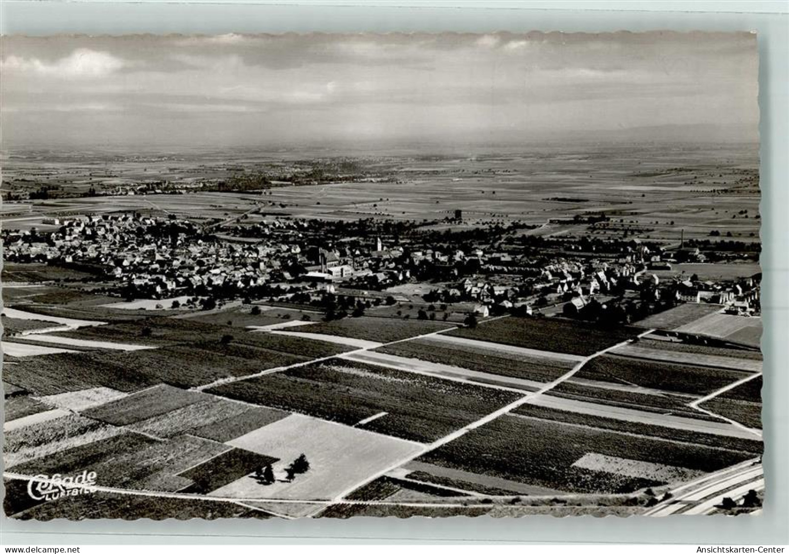 52260544 - Gruenstadt