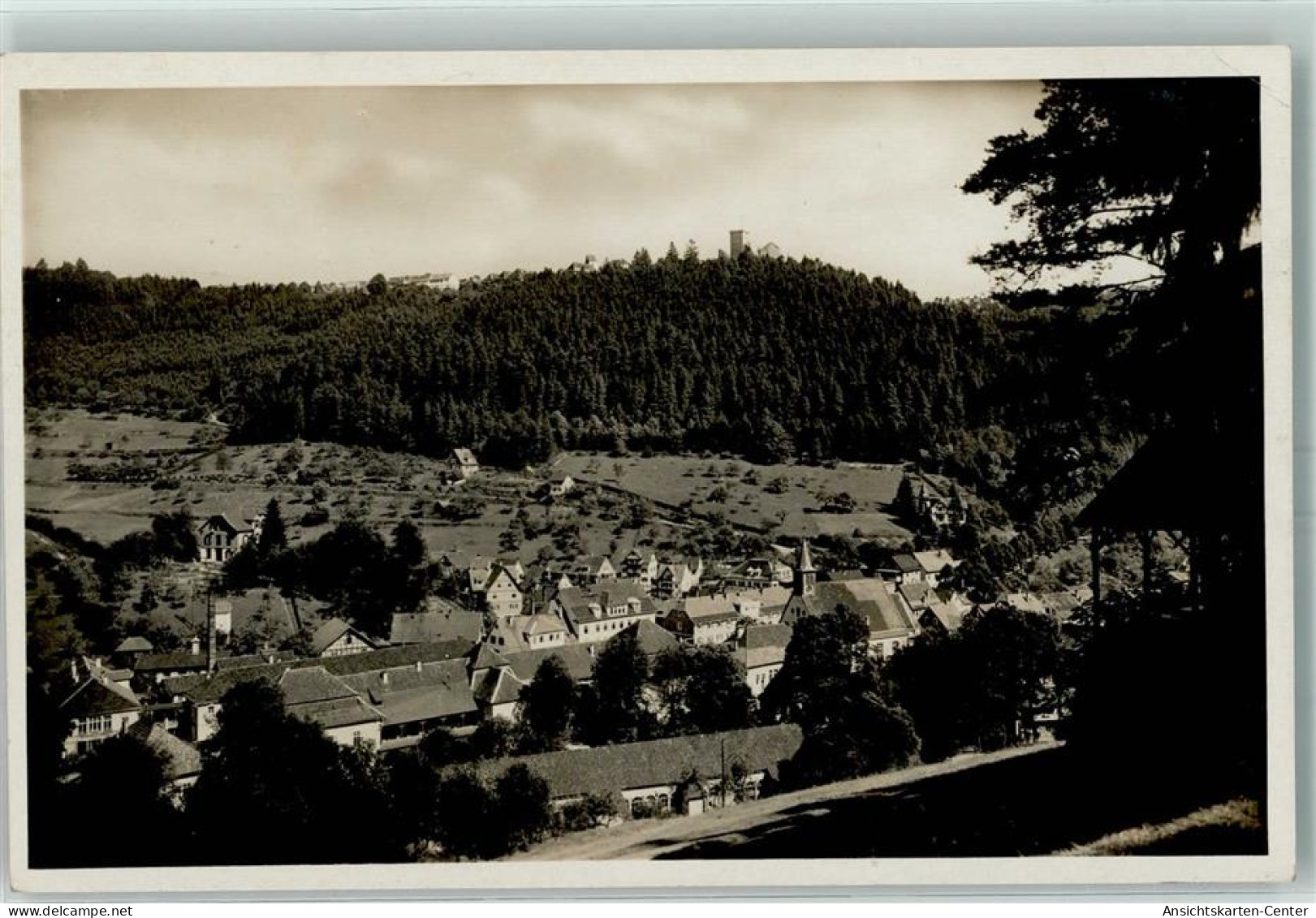 52268917 - Bad Teinach