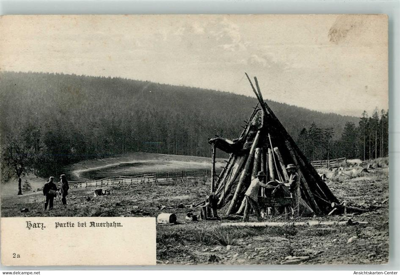 52270212 - Auerhahn , Oberharz