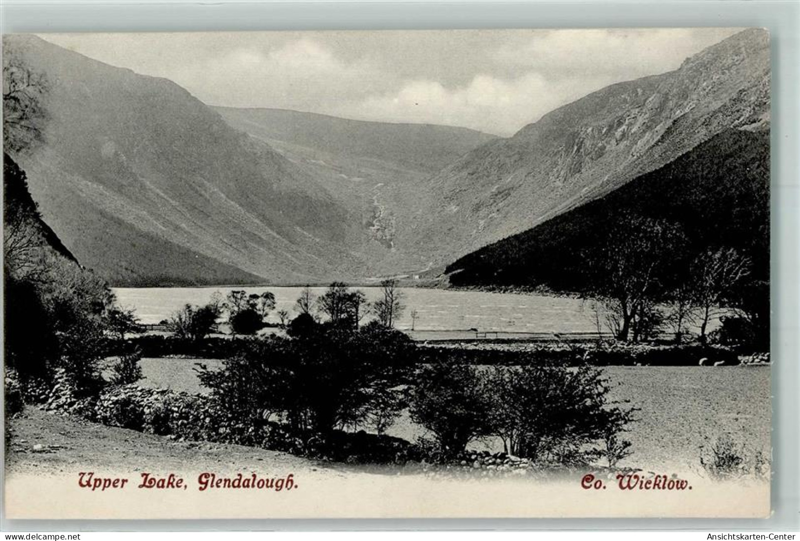 52305847 - Wicklow