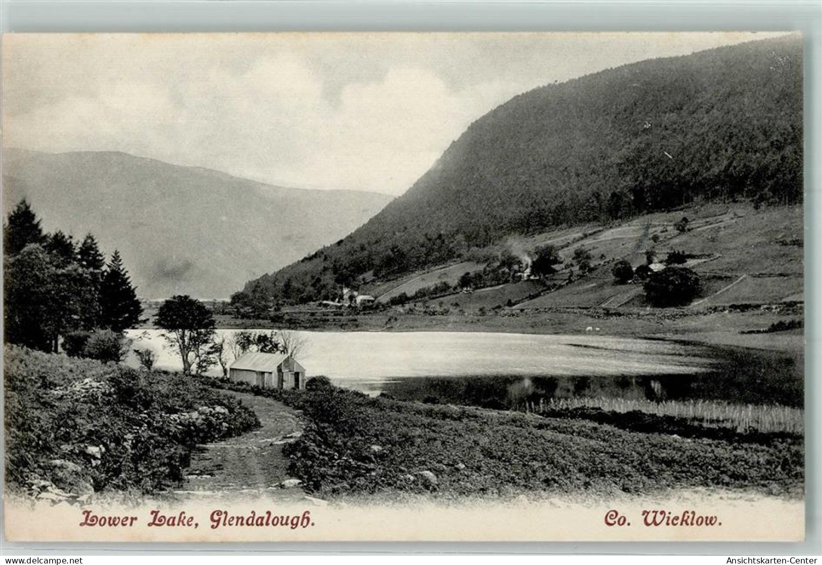 52305848 - Wicklow
