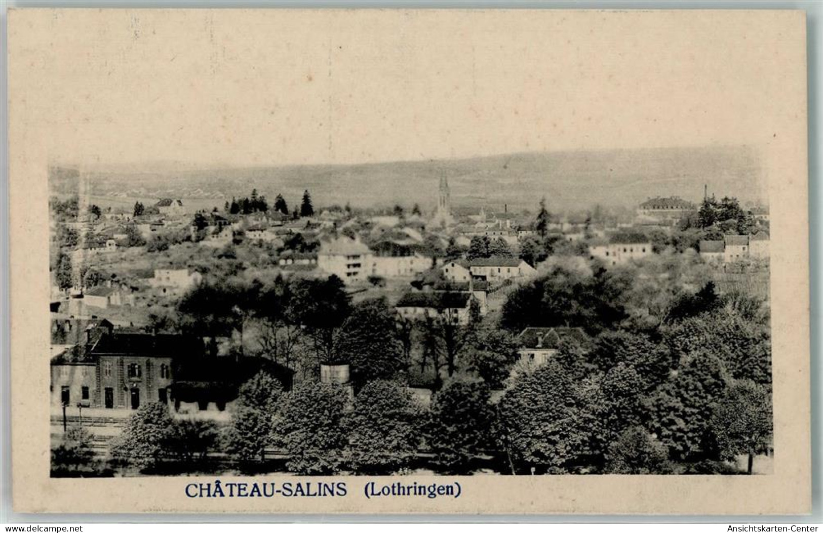 52306119 - Chateau-Salins