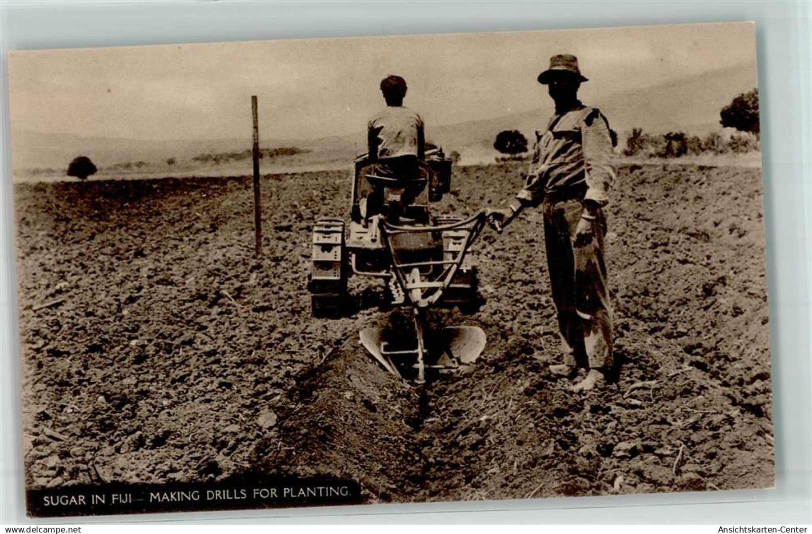 52319414 - Sugar in Fidschi Ozeanien   - Making Drills for Planting - Traktor Pflug Landwirtschaft
