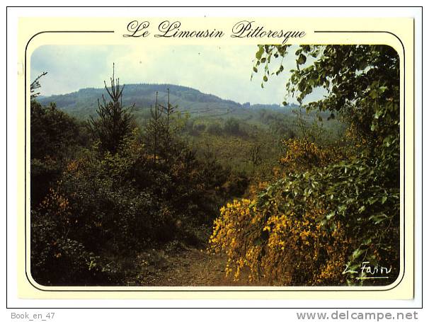 {52703} Le Limousin pittoresque ;  paysage