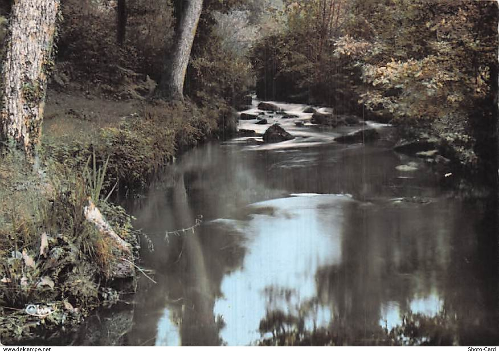 53 LANDIVY LES BORDS DE LA FUTIE COUESNON