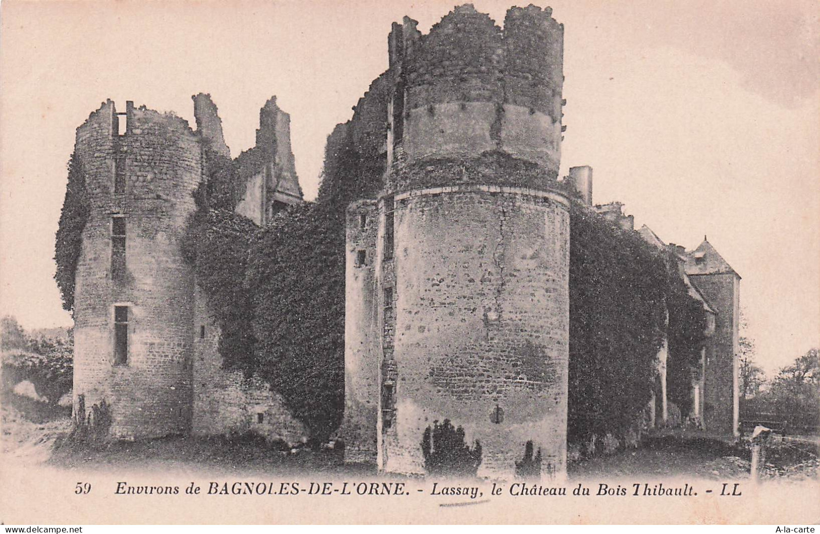 53 LASSAY LES CHATEAUX CHATEAU DU BOIS THIBAULT