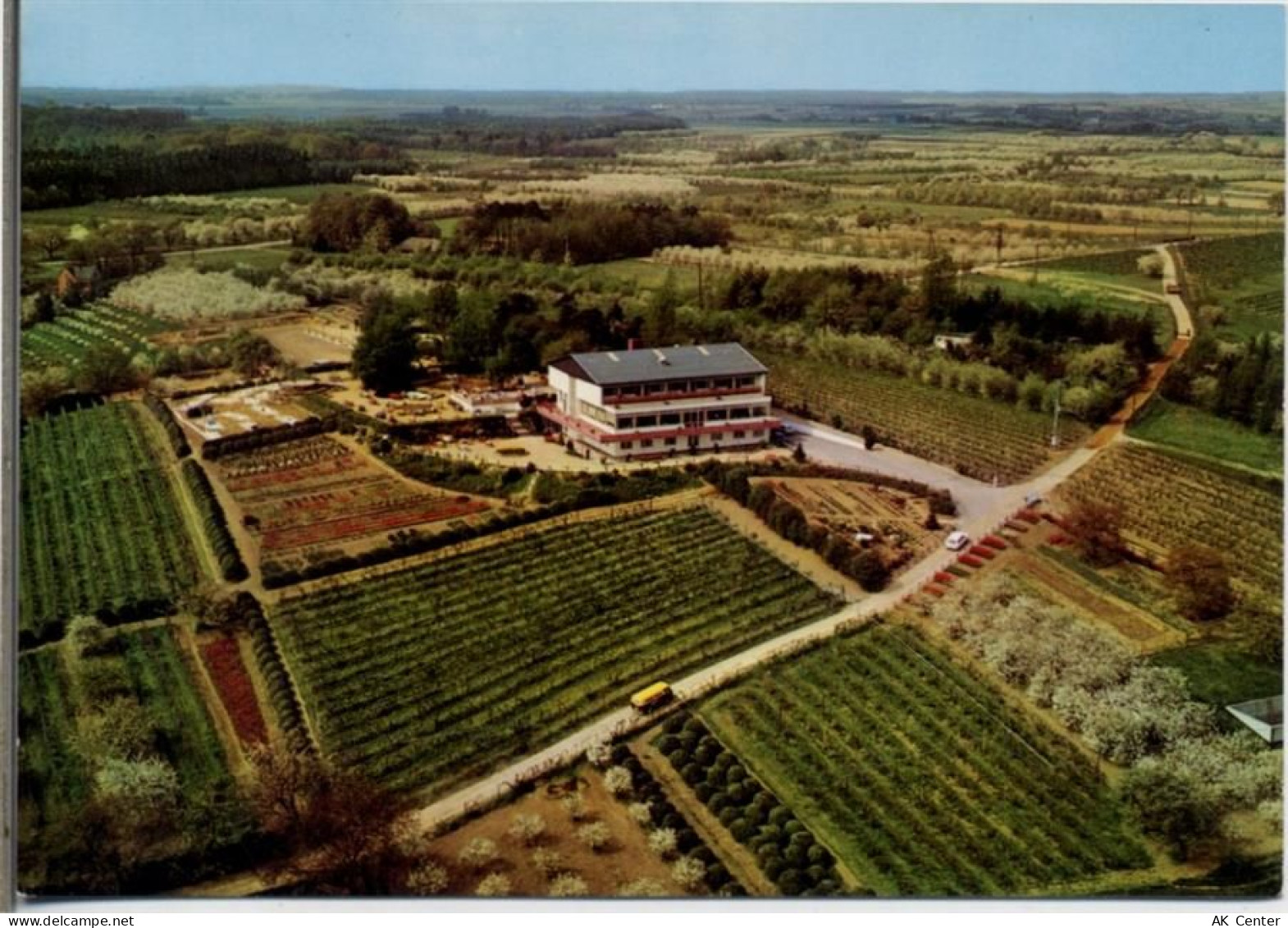 53332 W5303 Bornheim um 1970/80 - Bornheim, Roisdorf, Hotel Restaurant C... - 20026545