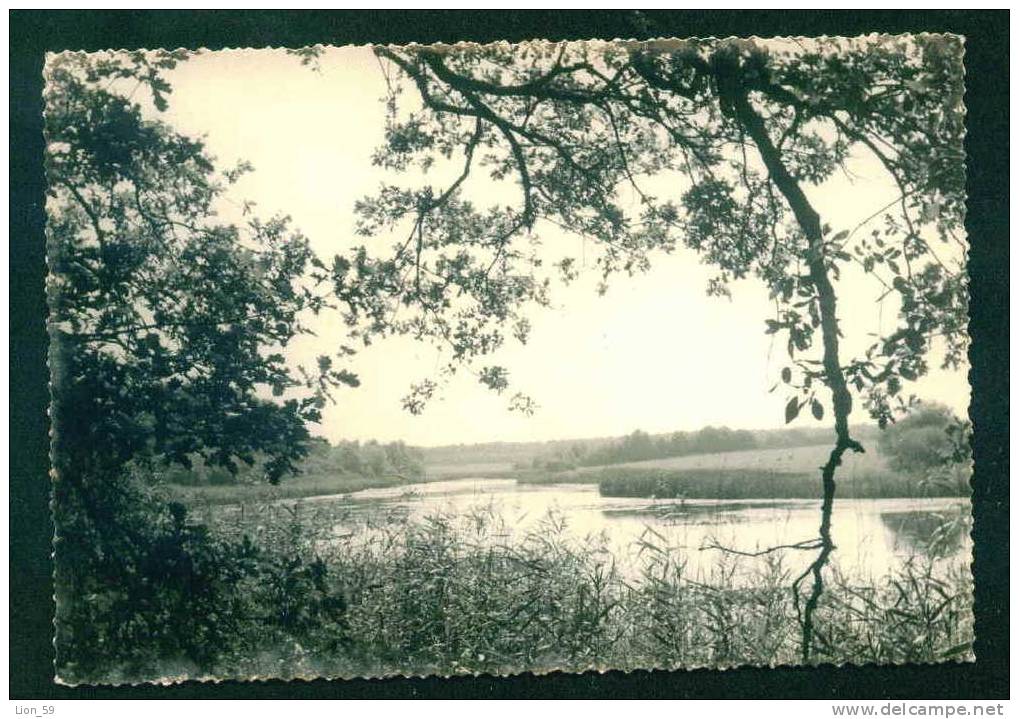 53462 / Original Real Photo - [18] Cher > Mehun-sur-Yèvre - EN BERRY - MEHUN - SUR - YEVRE - Lake France Frankreich