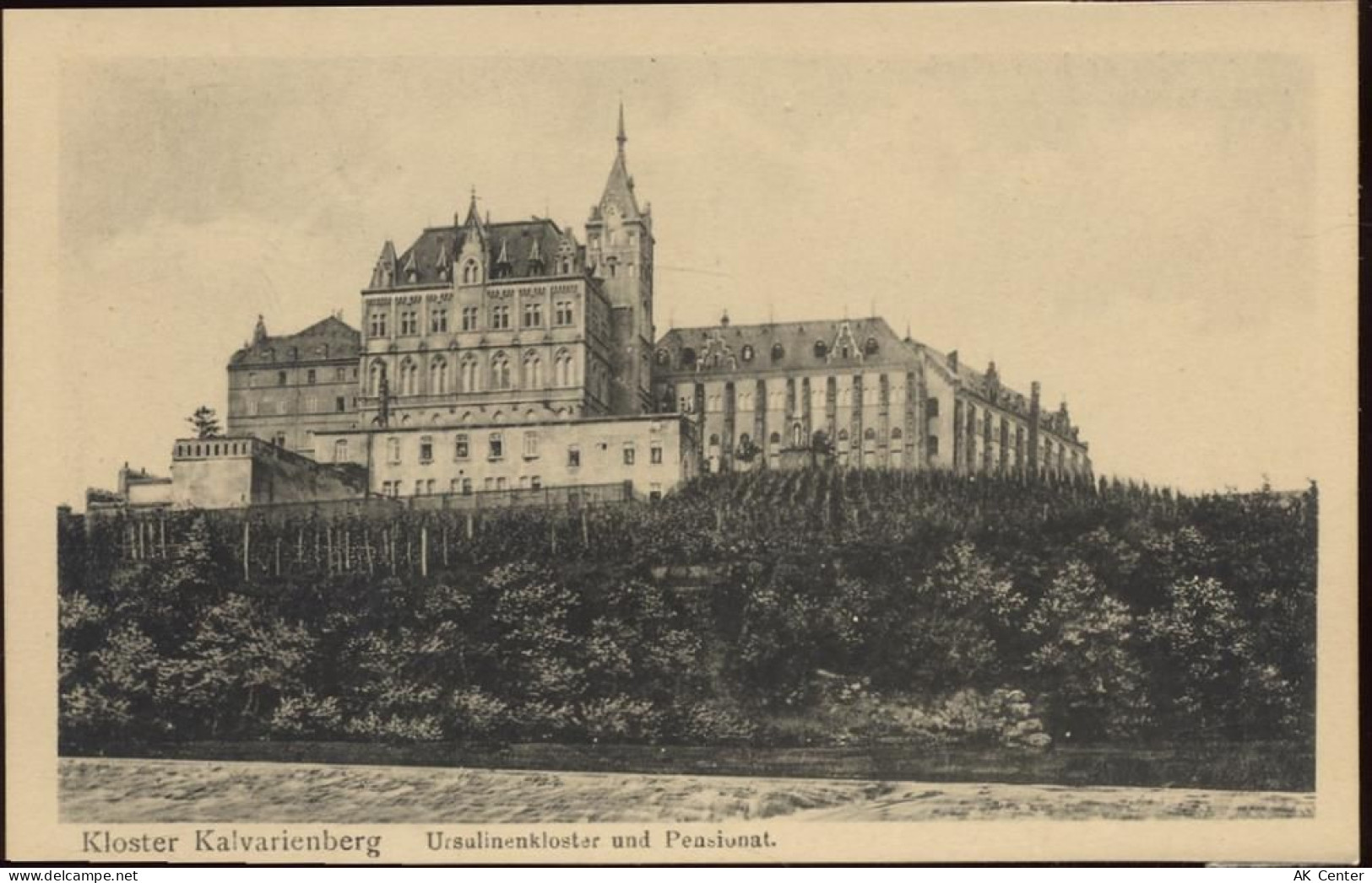 53474 W5483 Bad Neuenahr-Ahrweiler um 1920-30 - Bad Neuenahr-Ahrweiler, ... - 20000761