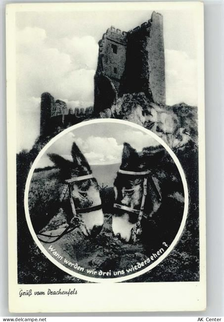 53639 W5330 Drachenfels - Drachenfels, Esel - 10019547