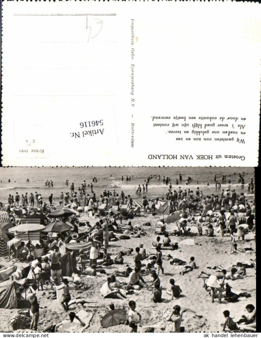 546116,Netherlands Hoek van Holland Strandleben Bademode