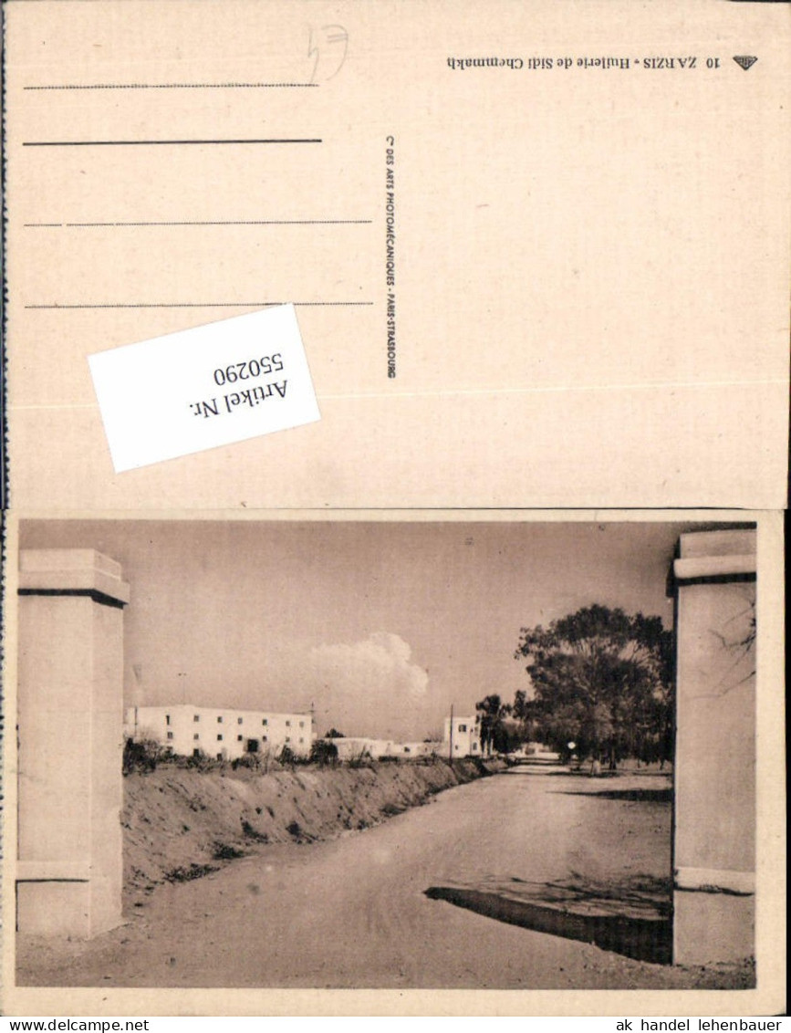 550290,Africa Tunis Tunisia Zarzis