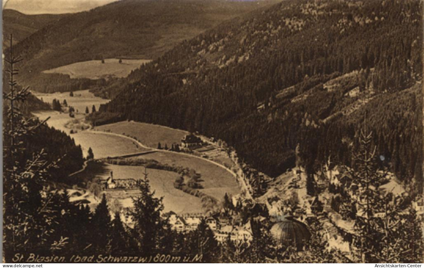 55089410 - St. Blasien