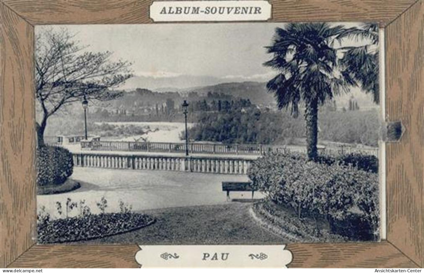 55119158 - Pau