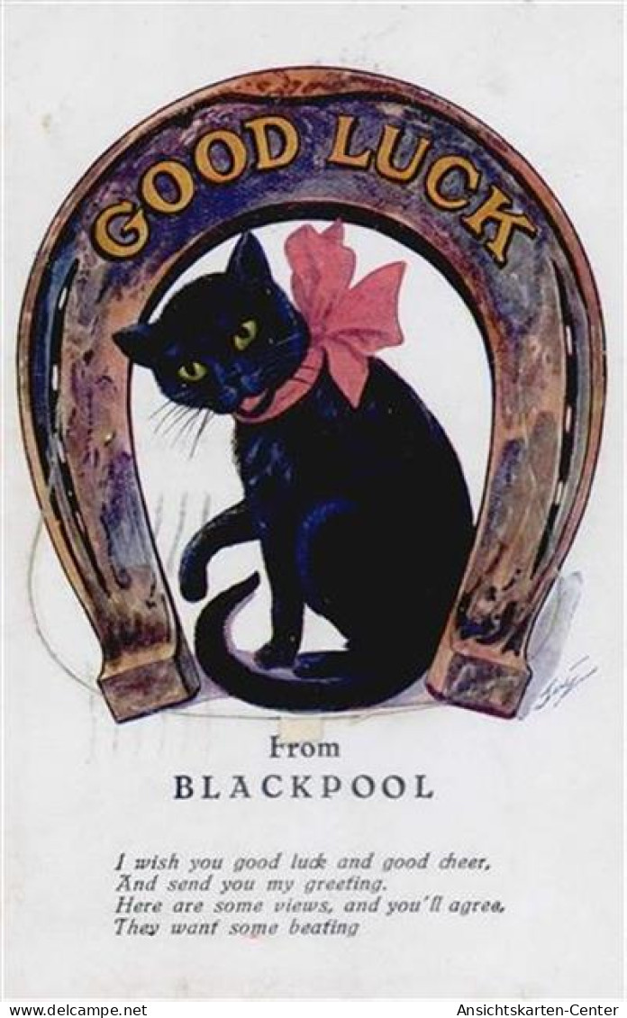 55119693 - Blackpool