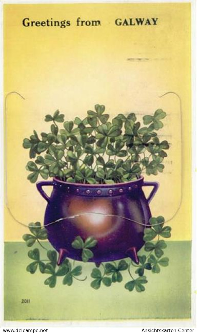 55120214 - Galway