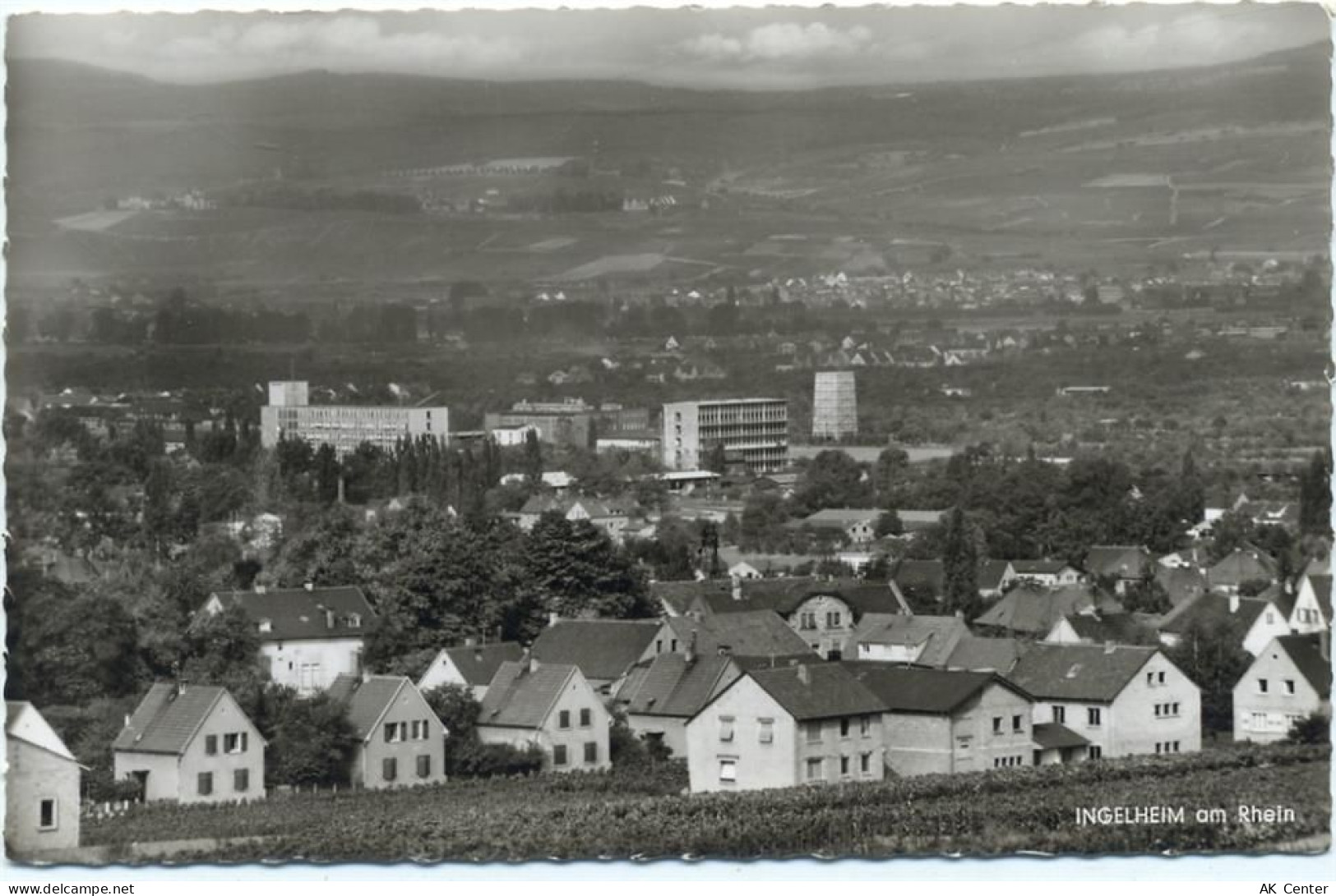 55218 W6507 Ingelheim um 1950-60 - Ingelheim, gezackter Rand,F. G. Zeitz... - 20000744