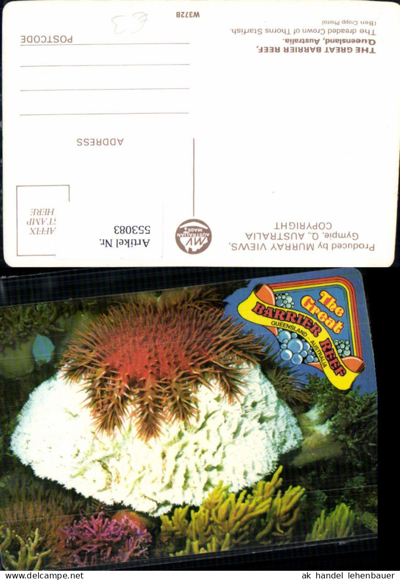 553083,Tiere Australia Great Barrier Reef Fisch Coral koralen Queensland