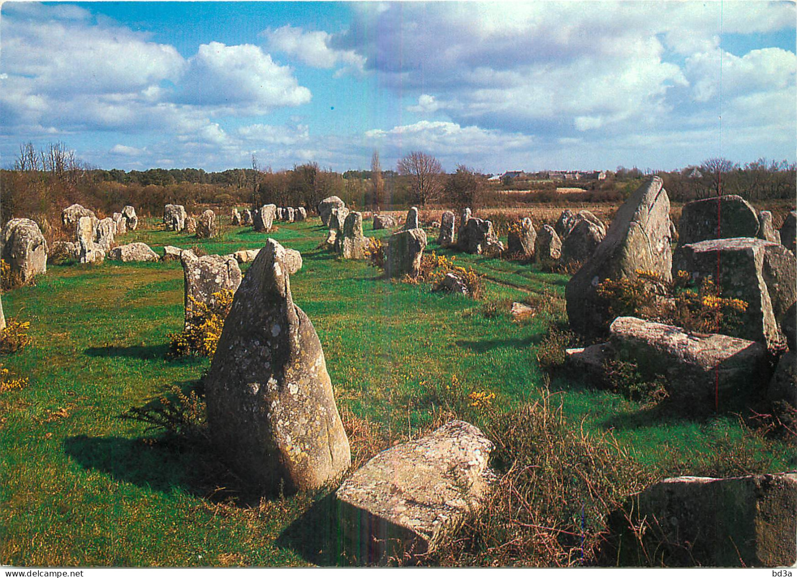 56 - ERDEVEN
