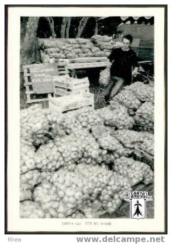 56 Erdeven - ERDEVEN (56) - FETE DES OIGNONS - cpm