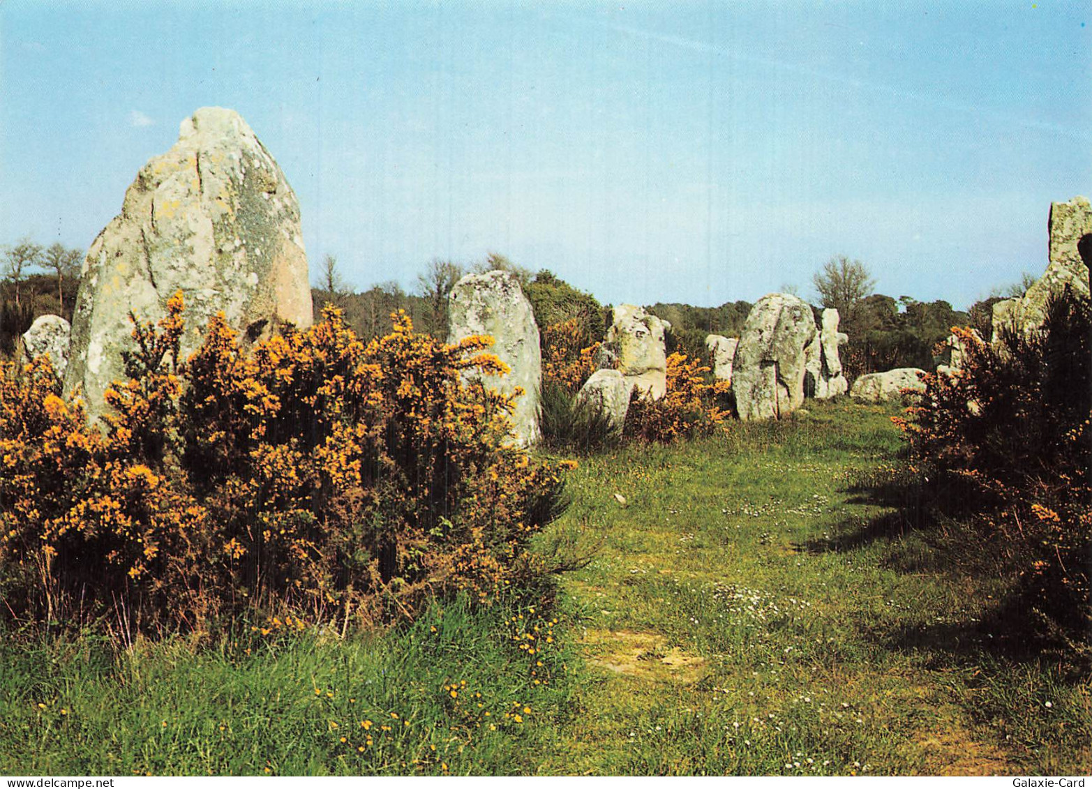 56 ERDEVEN KERZERHO A ERDEVEN