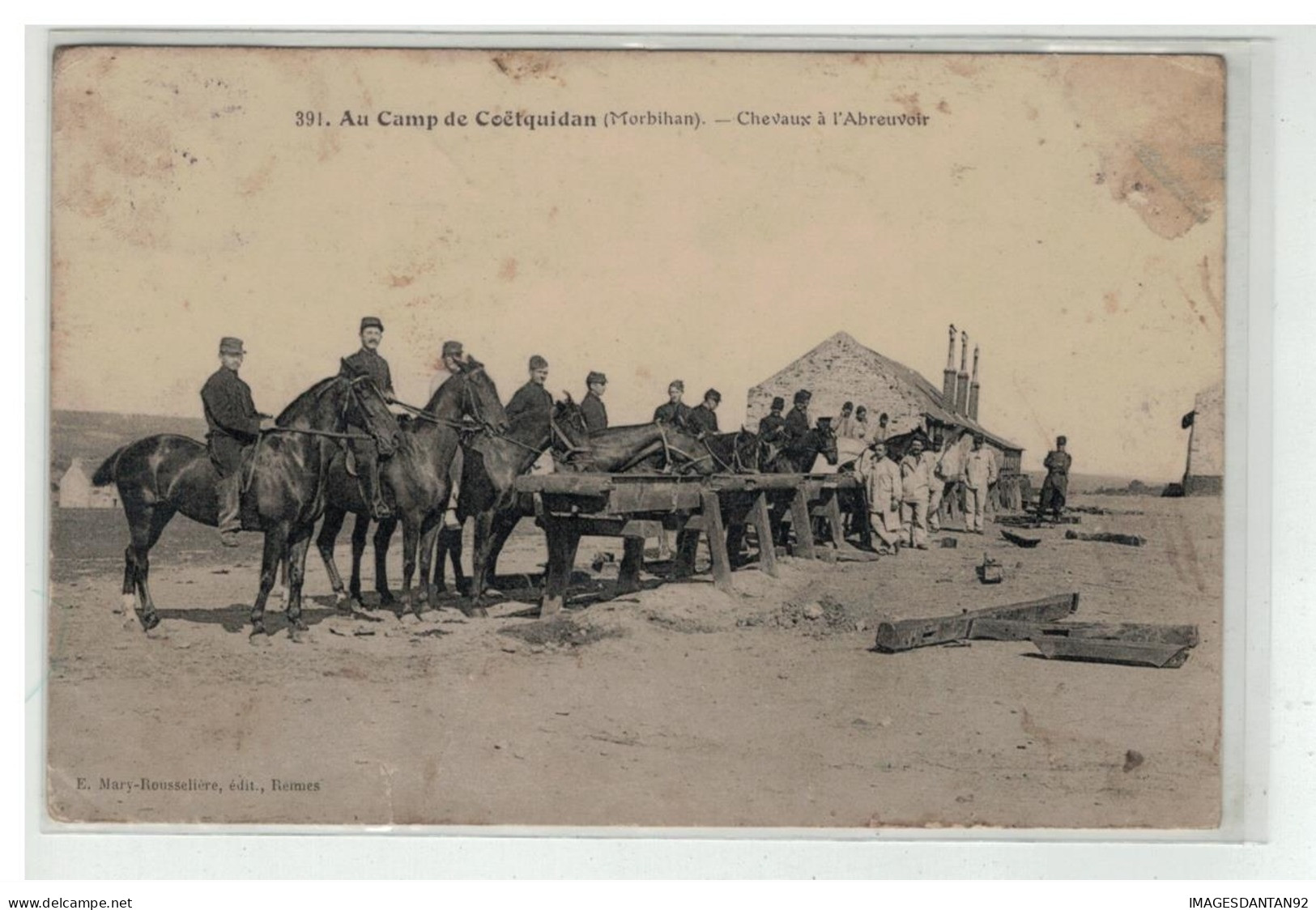 56 GUER COETQUIDAN CAMP CHEVAUX A L ABREUVOIR