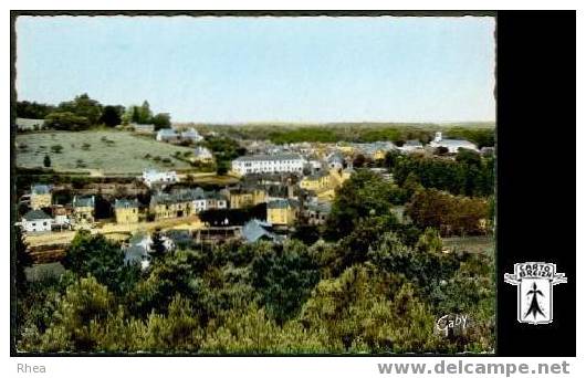 56 La Gacilly - 1 - LA GACILLY  (Morbihan)  Vue générale -  cpsm Rhea D56D  C56061C