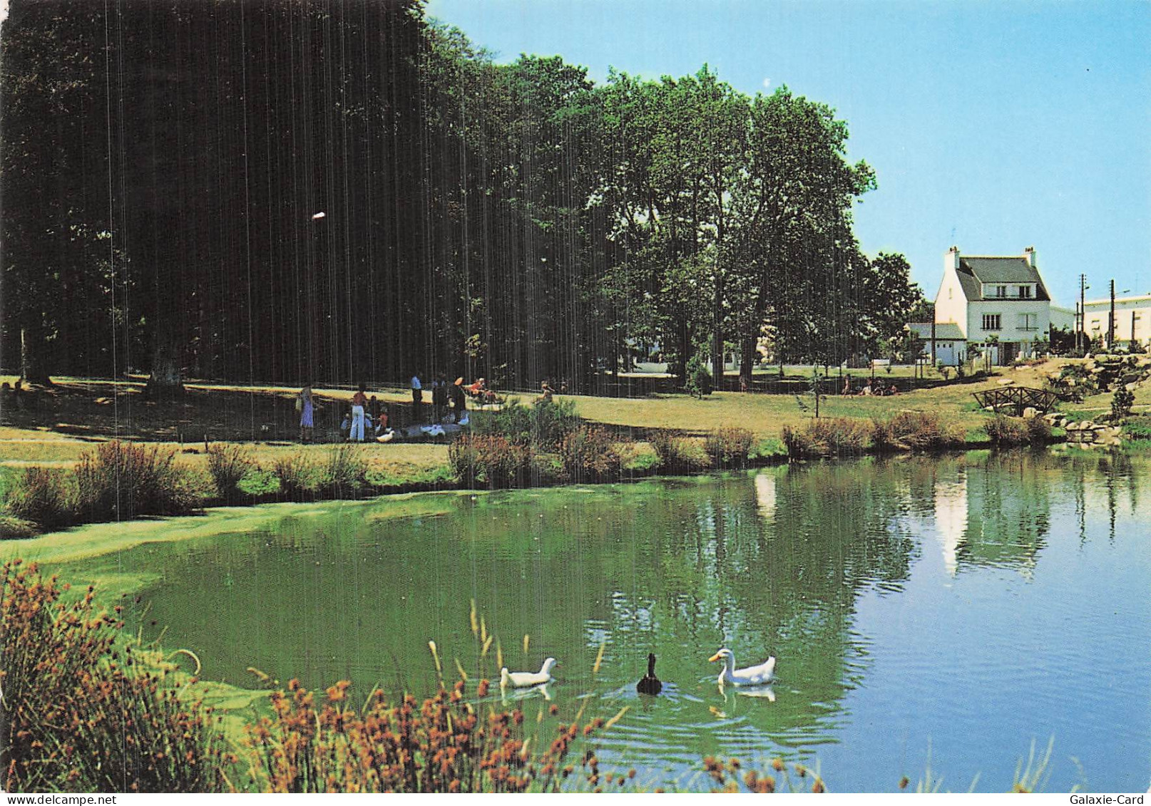 56 LANESTER LE PARC MUNICIPAL DU PLESSIS