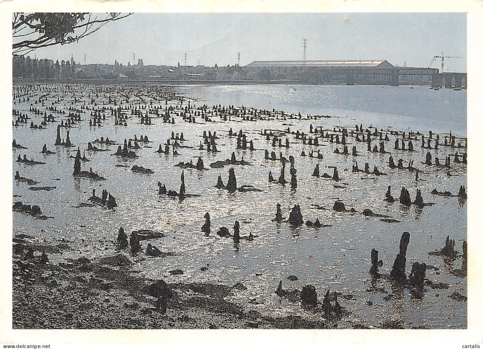 56-LANESTER-N°C-4313-D/0067