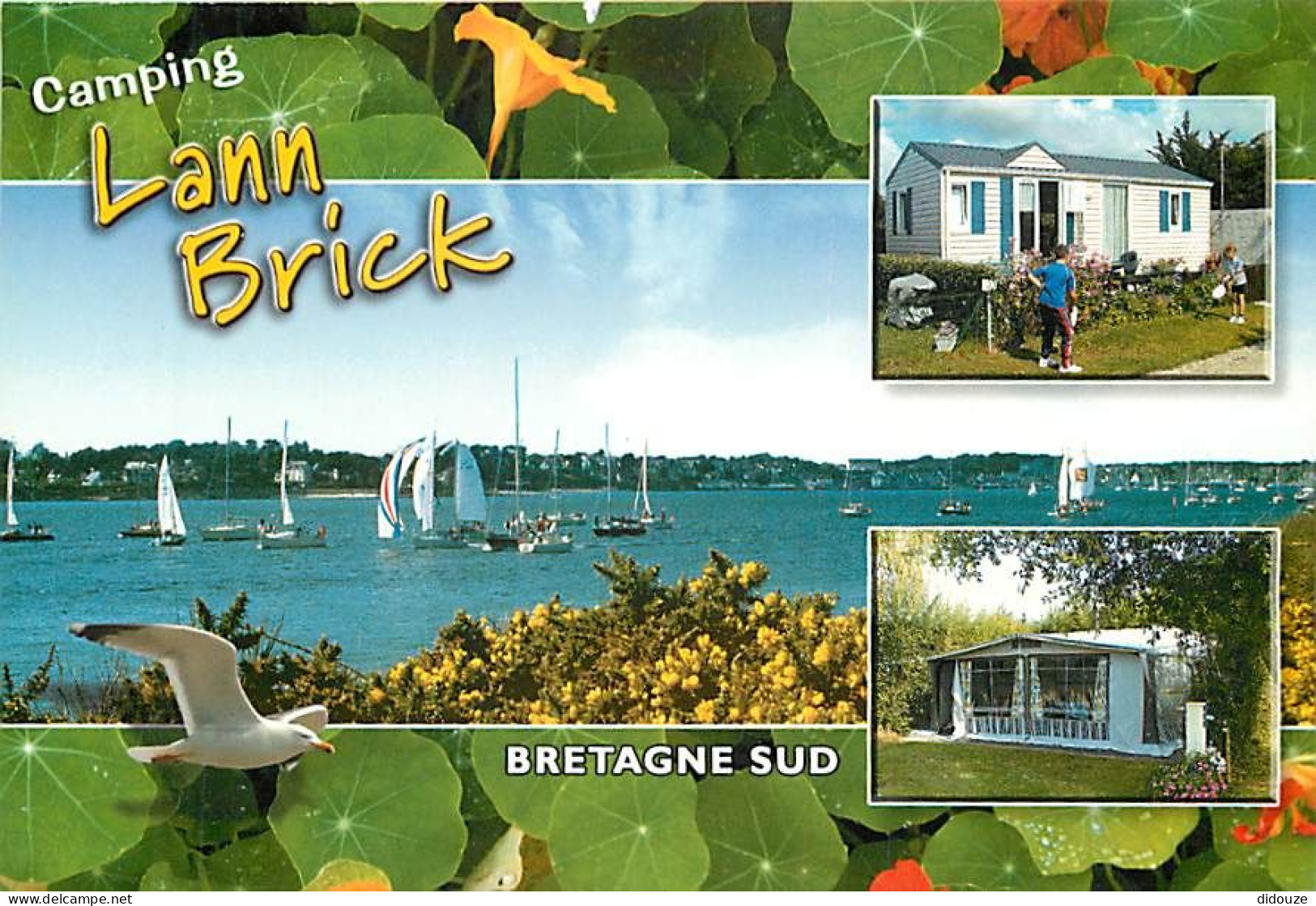 56 - Locmariaquer - Multivues - CPM - Voir Scans Recto-Verso