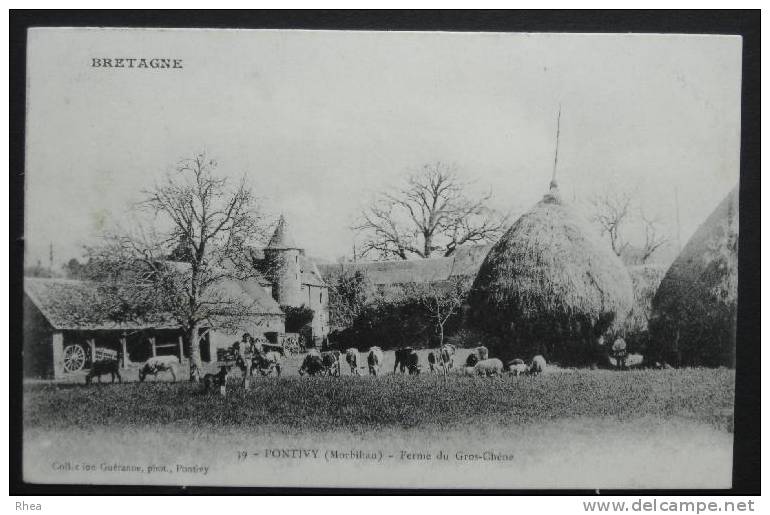 56 Pontivy    D56D  K56178K  C56178C RH503334