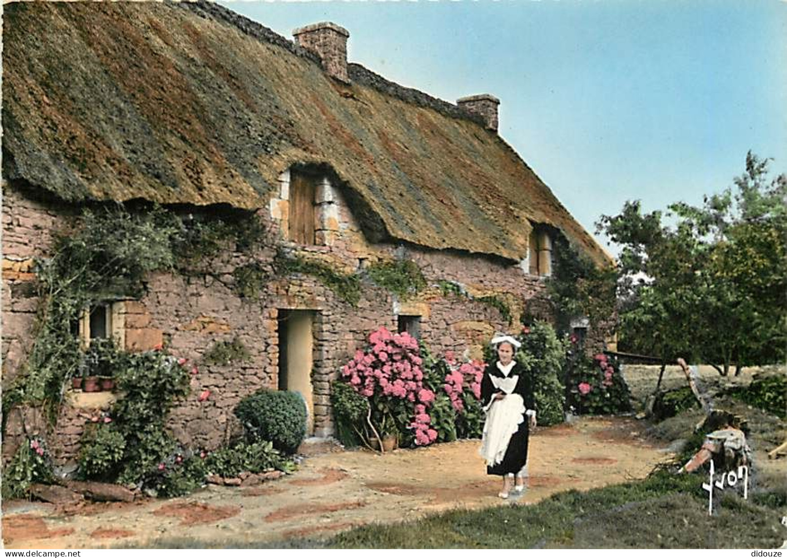 56 - Sainte Anne d'Auray - CPM - Voir Scans Recto-Verso