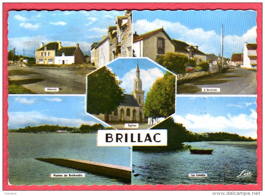56 SARZEAU - BRILLAC