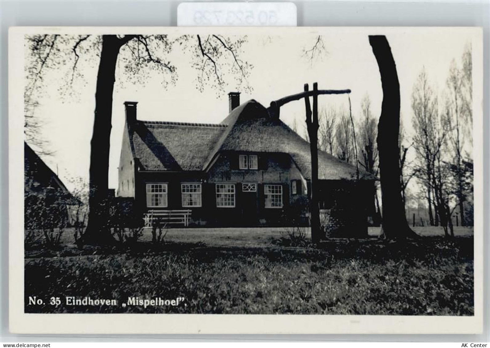 5600 Eindhoven - Mispelhoef - 50523729