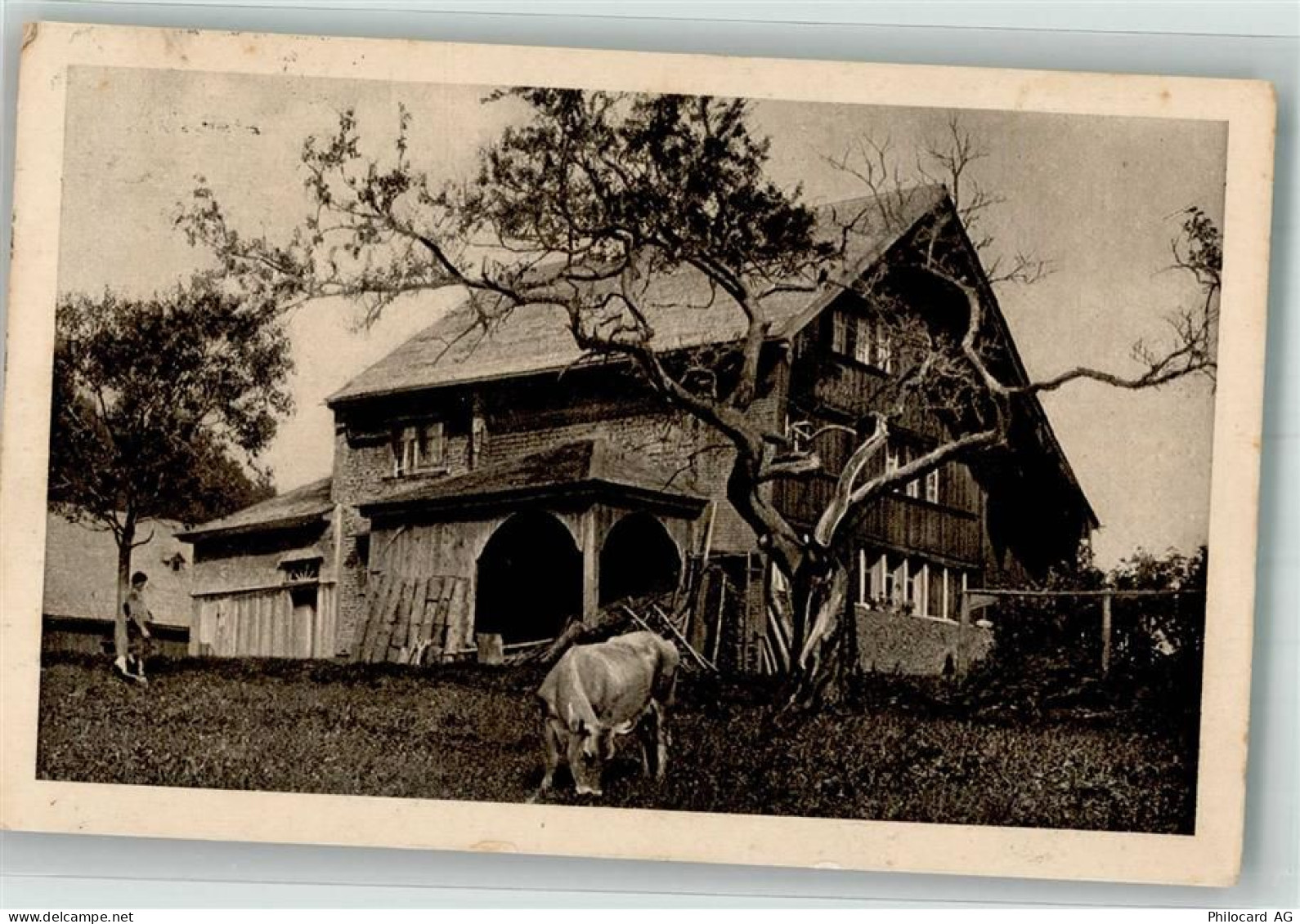 5600 Lenzburg 1920 Foto AK Bauernhaus - 38070993