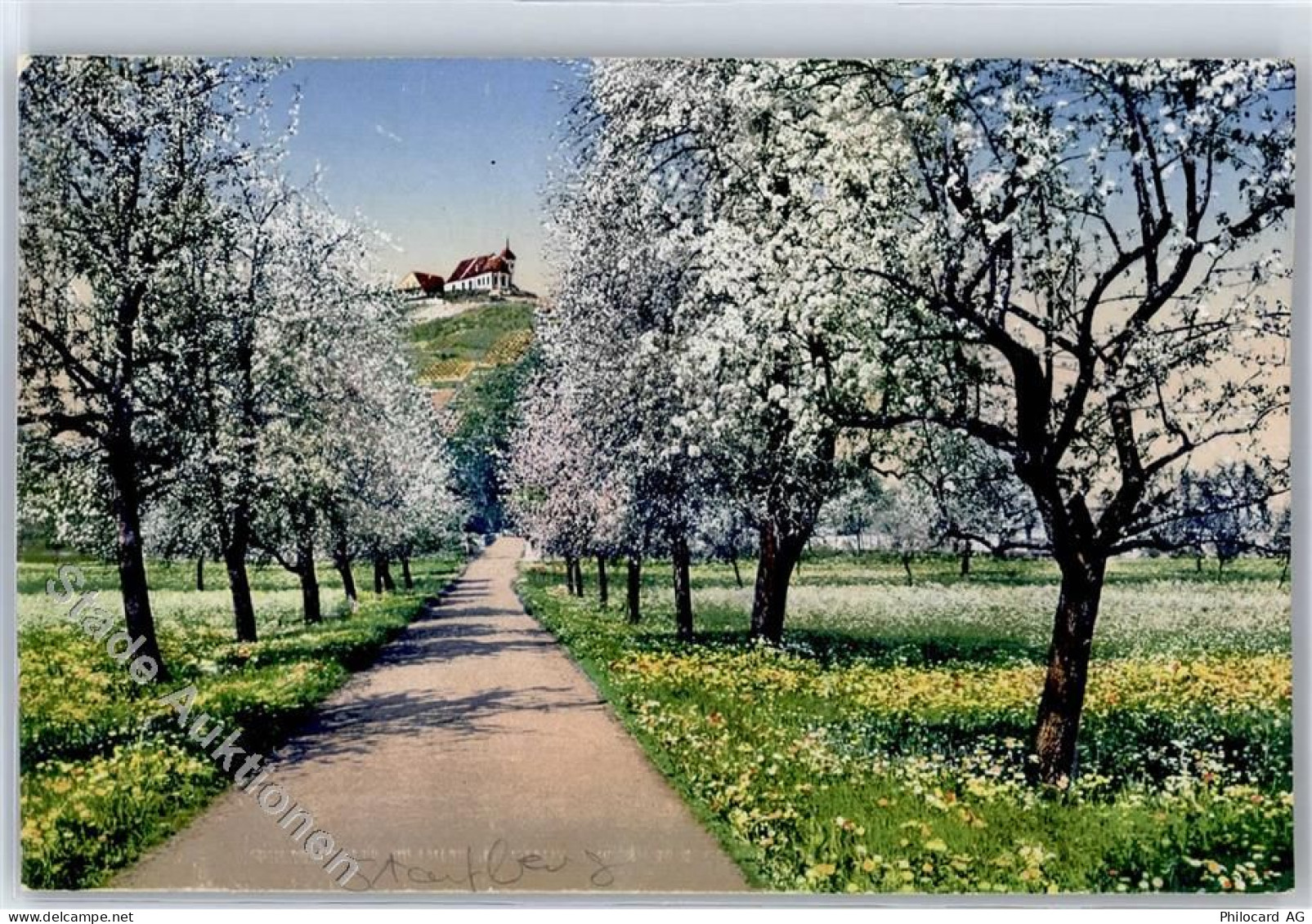 5603 Staufen - 1917, Staufberg, Seetal - 51279619