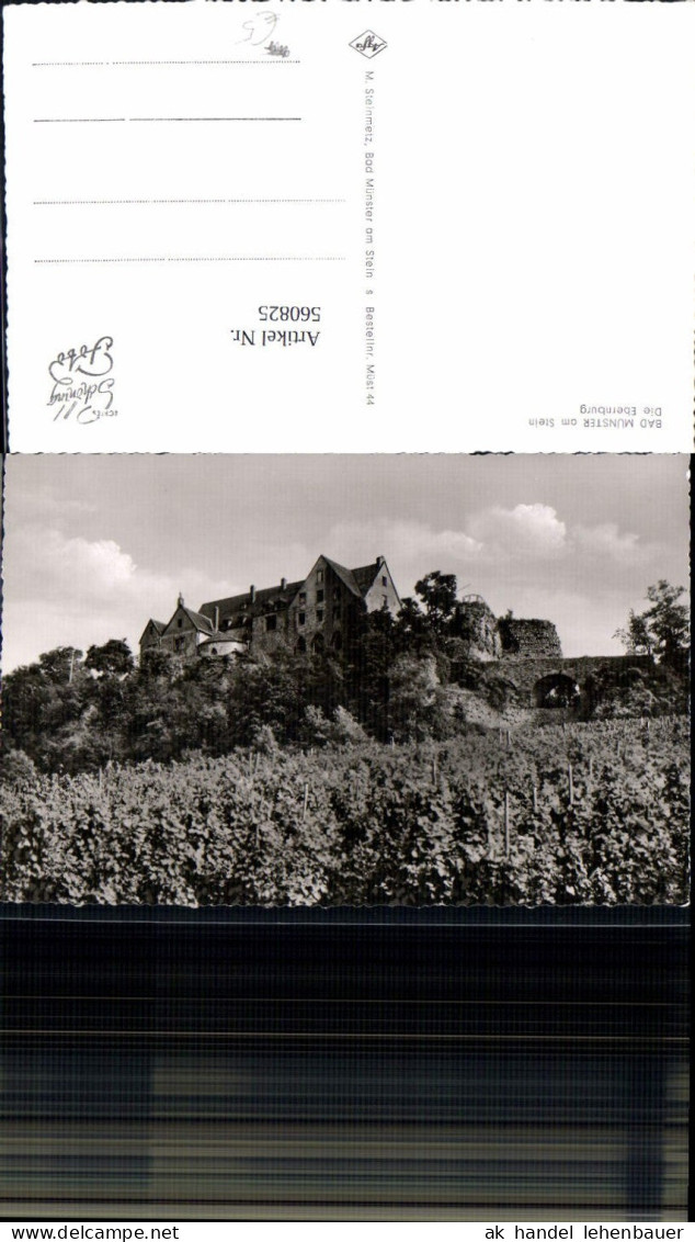 560825,Foto Ak Bad Münster a. Stein-Ebernburg Bad Kreuznach Die Ebernburg Wein Weinanbau