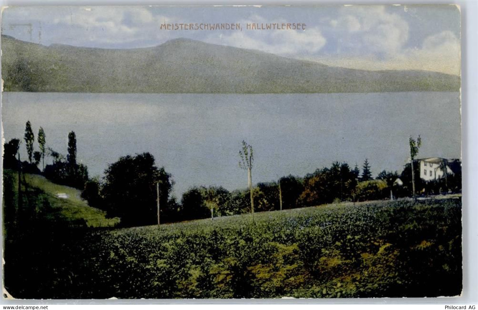 5616 Meisterschwanden - Hallwylersee - 51481475