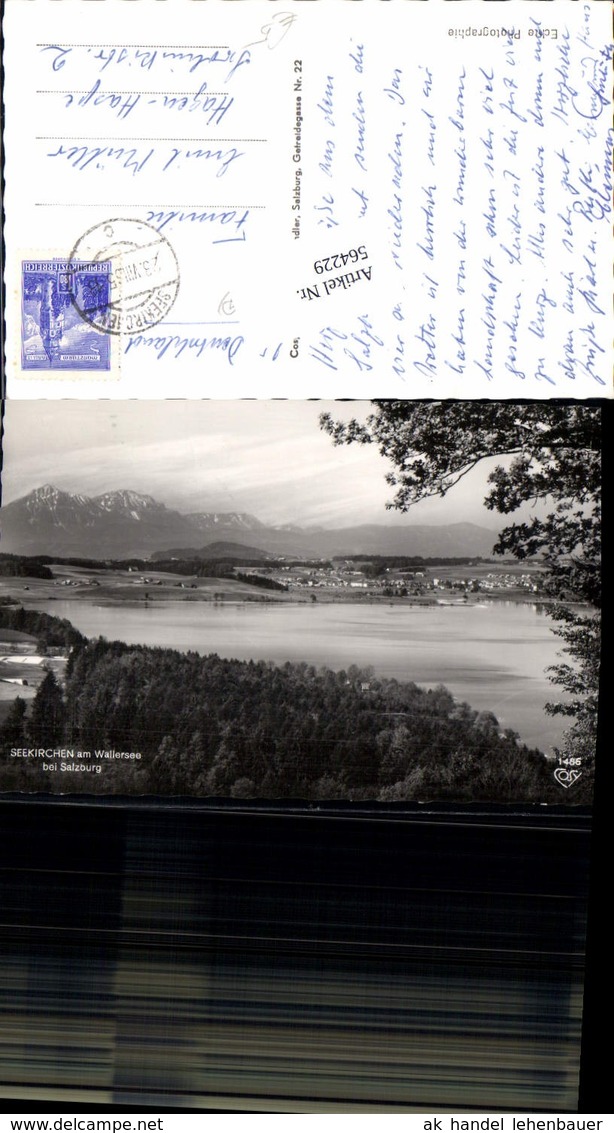 564229,Foto Ak Seekirchen a. Wallersee