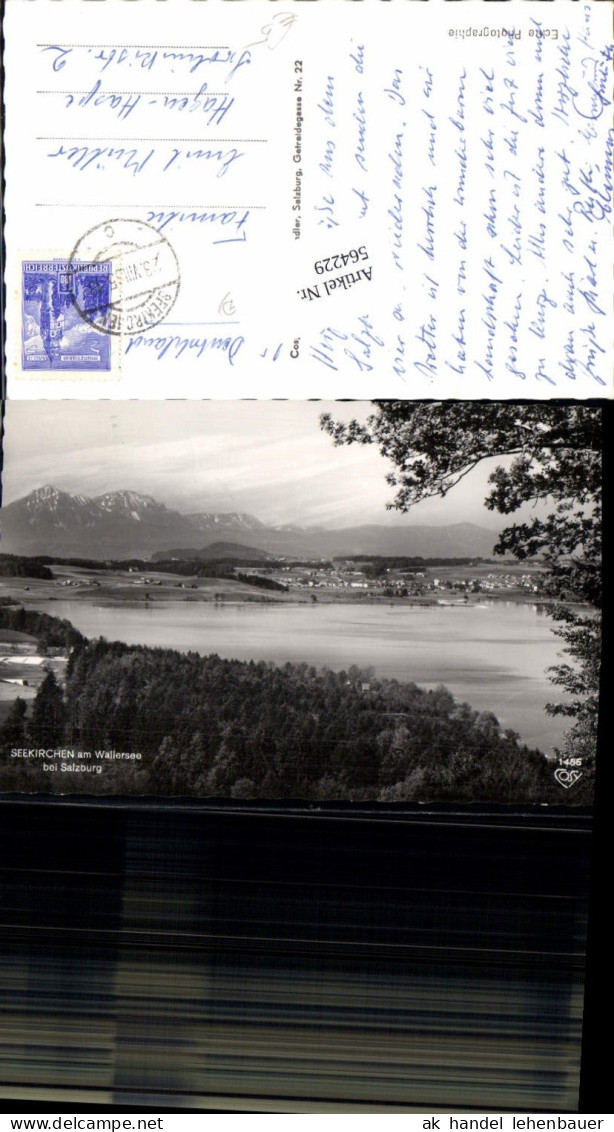 564229,Foto Ak Seekirchen a. Wallersee