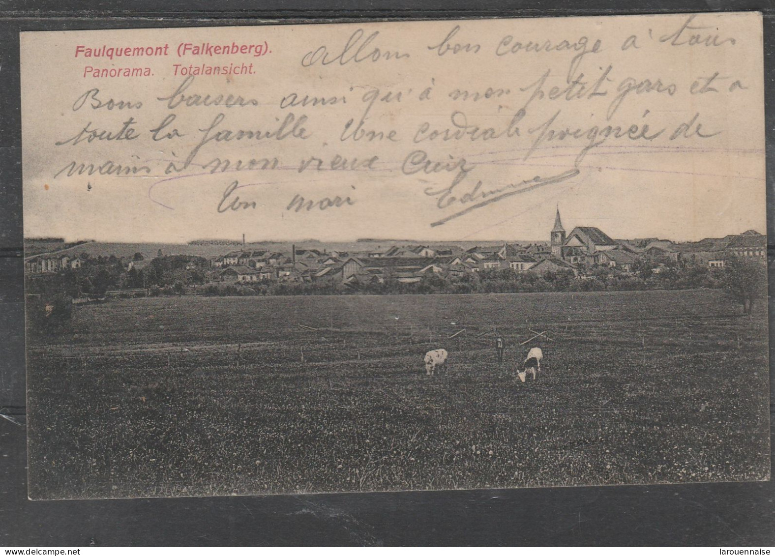 57 - FAULQUEMONT - Panorama