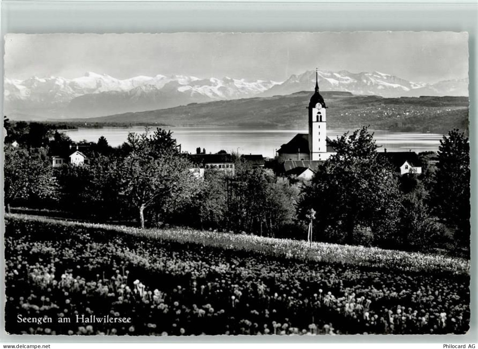 5707 Seengen - am Hallwilersee - 10196414