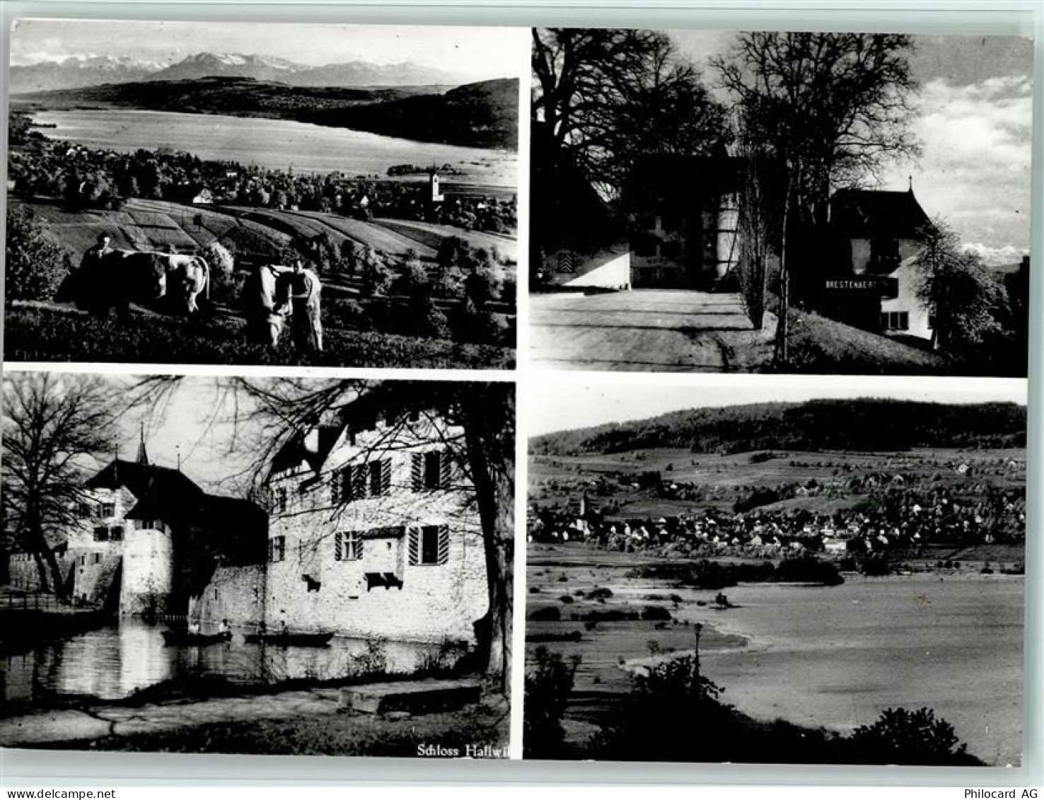 5707 Seengen - Hallwilersee - 11051774