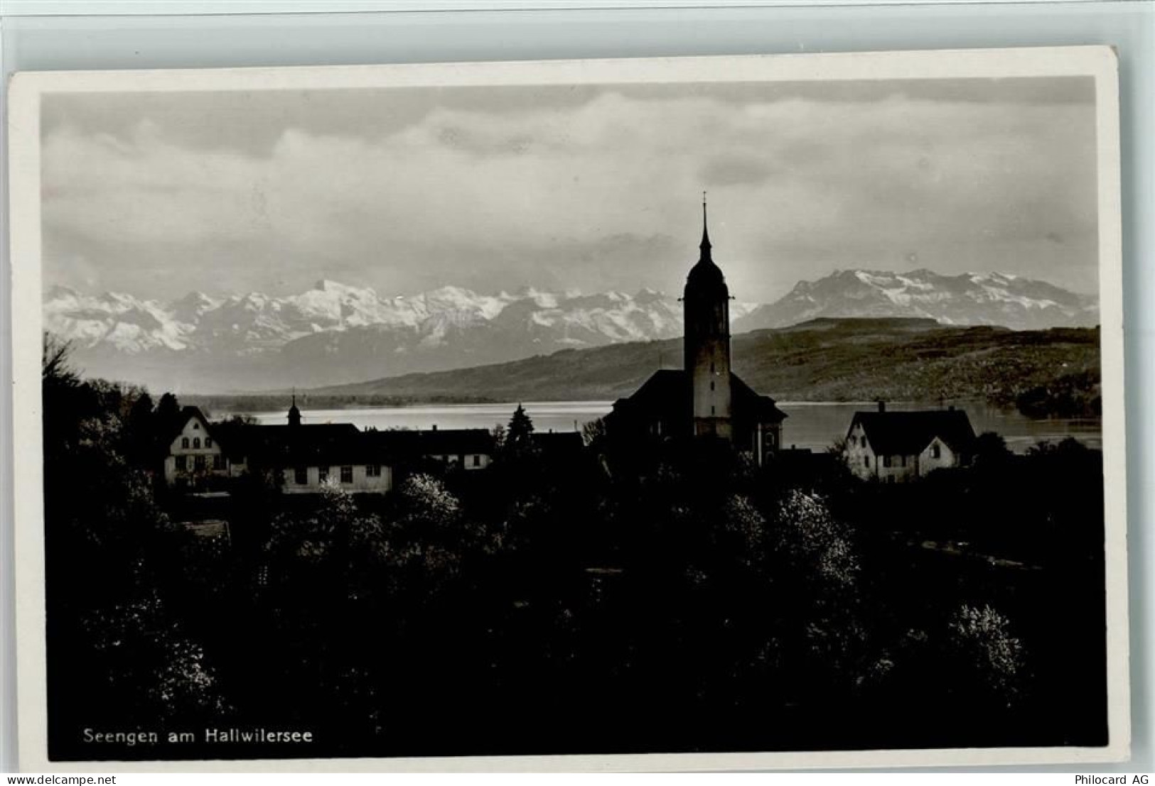 5707 Seengen - Hallwilersee Kirche Alpen - 13095748