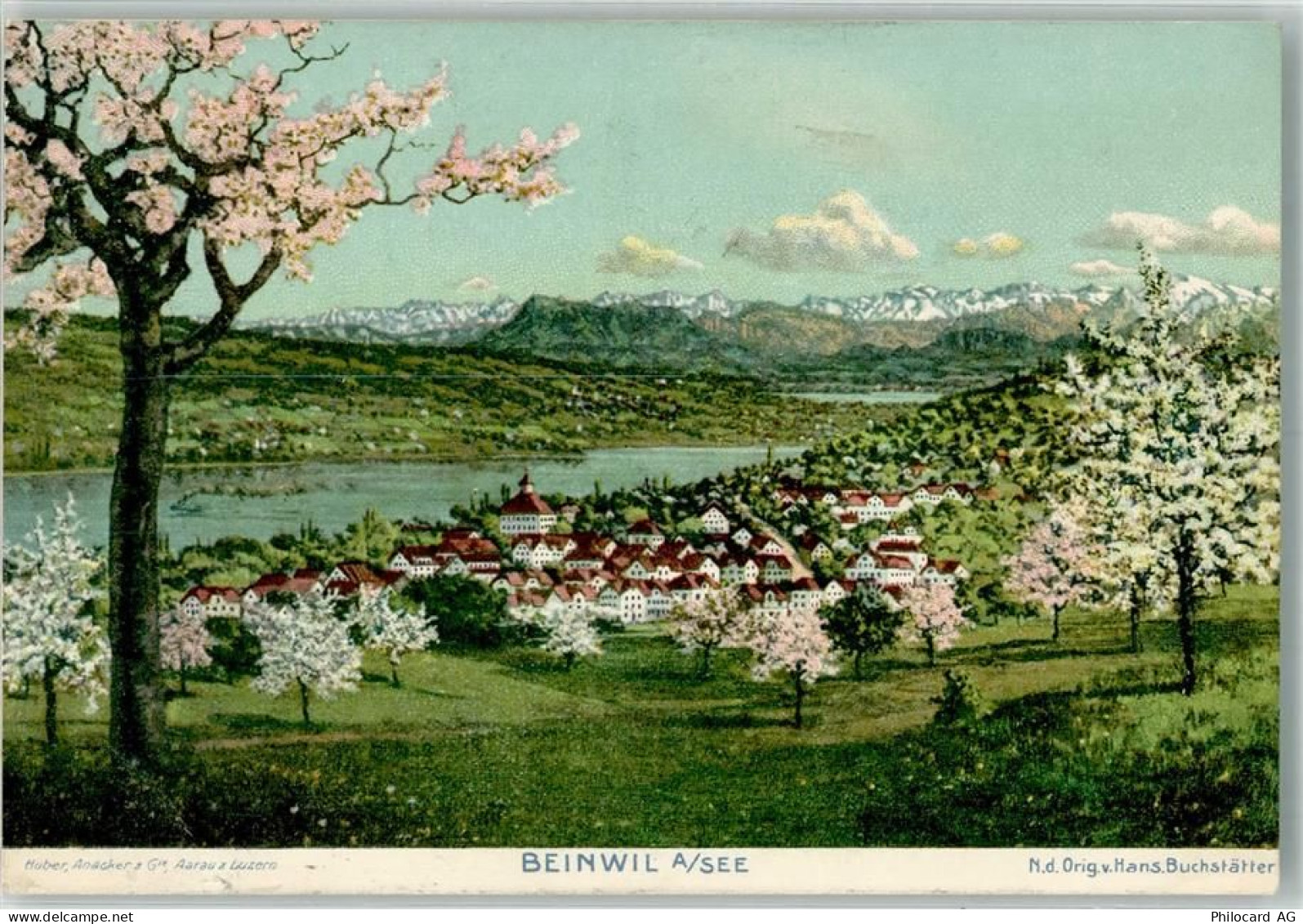 5712 Beinwil am See 1909 Künstlerkarte sign. Buchstätter, Hans - 10735270