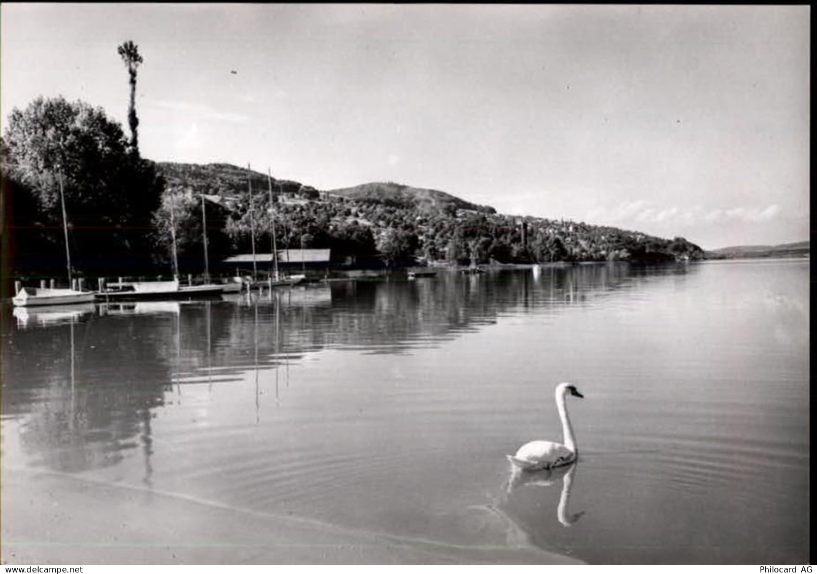 5712 Beinwil am See - 50464072