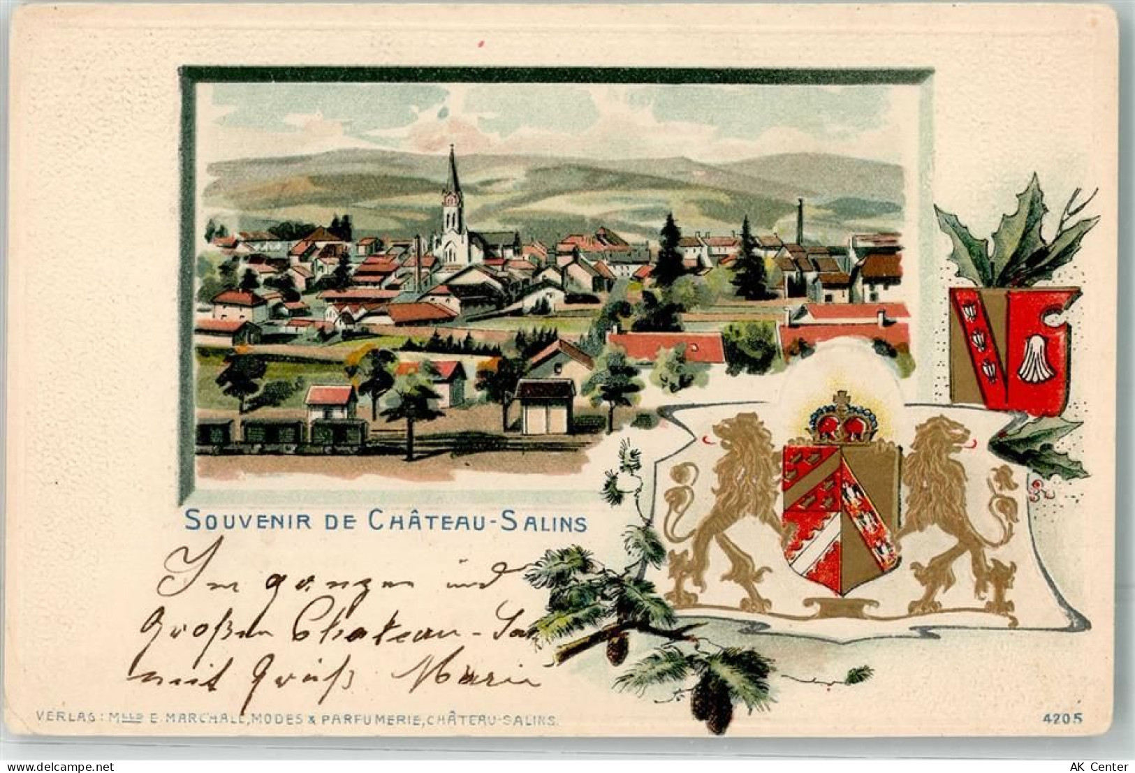57170 Chateau-Salins 1902 Prägedruck Wappen Bahnhof Eisenbahn Bahnpost S... - 13623630