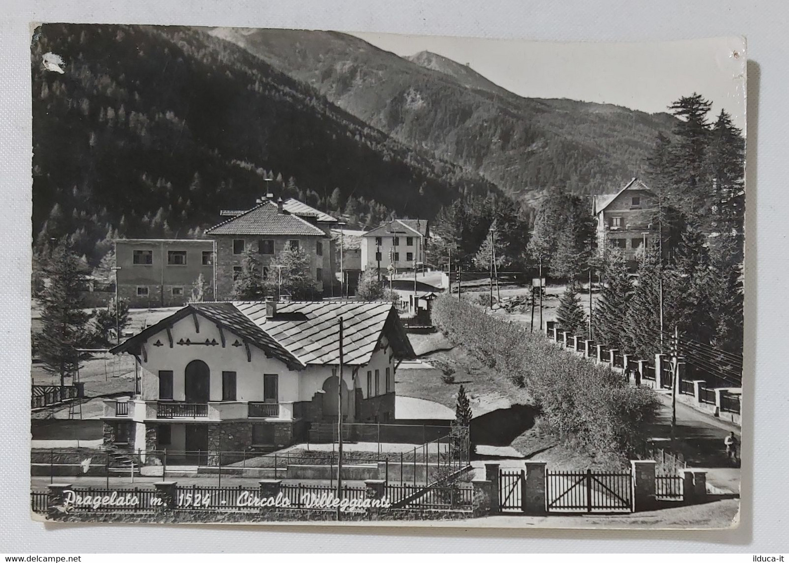 57594 Cartolina - Torino - Pragelato - Circolo villeggianti - VG anni 50/60
