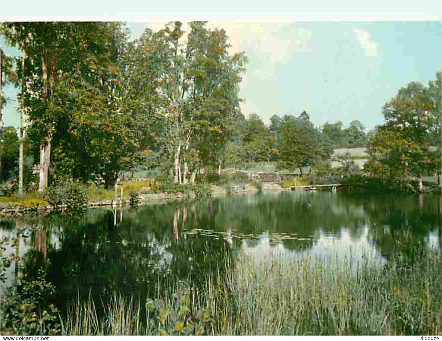 58 - Lormes - L'étang de Chaumall - CPM - Voir Scans Recto-Verso